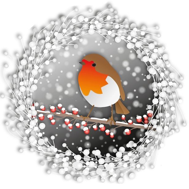 Robin Blanc de Chine