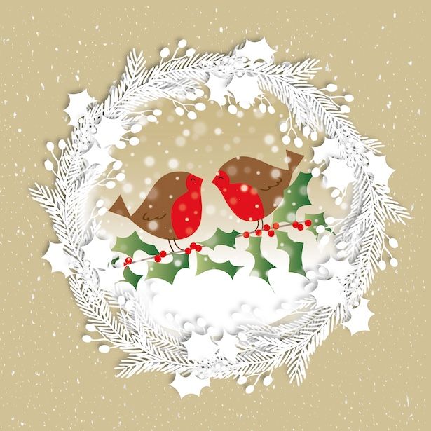 Robins &amp; Holly