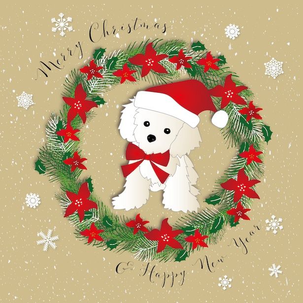 Merry Christmas Puppy