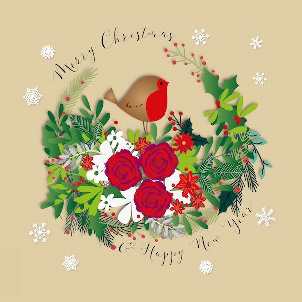 Merry Christmas Robin