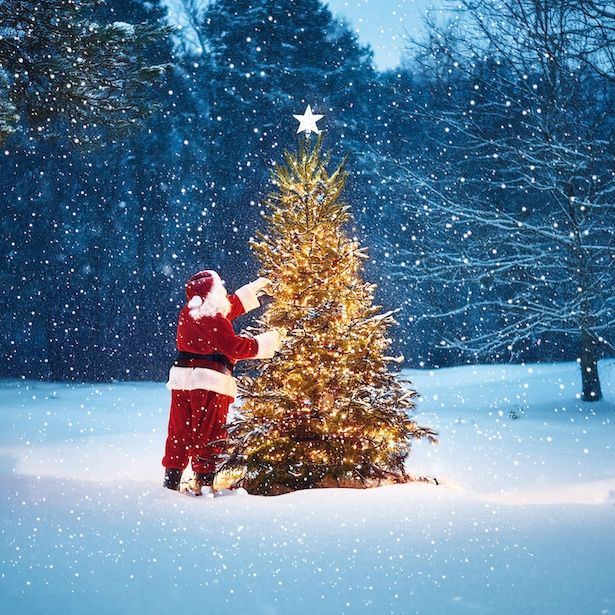 Forest Tree Santa