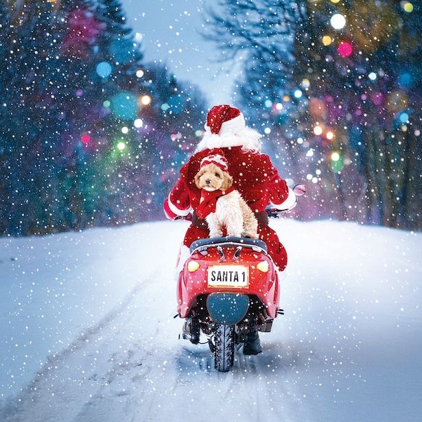 Scooter Santa