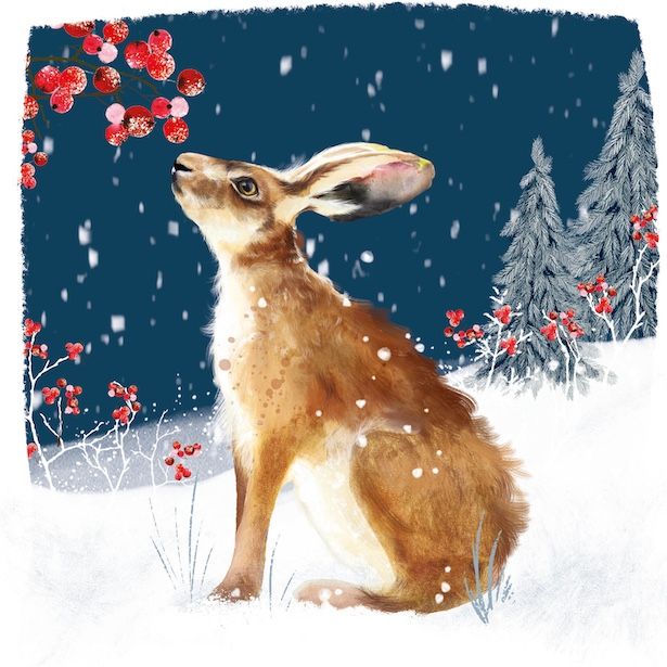 Berry Hare