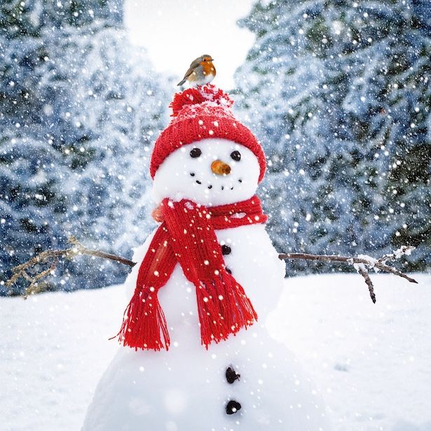 Chirpy Snowman