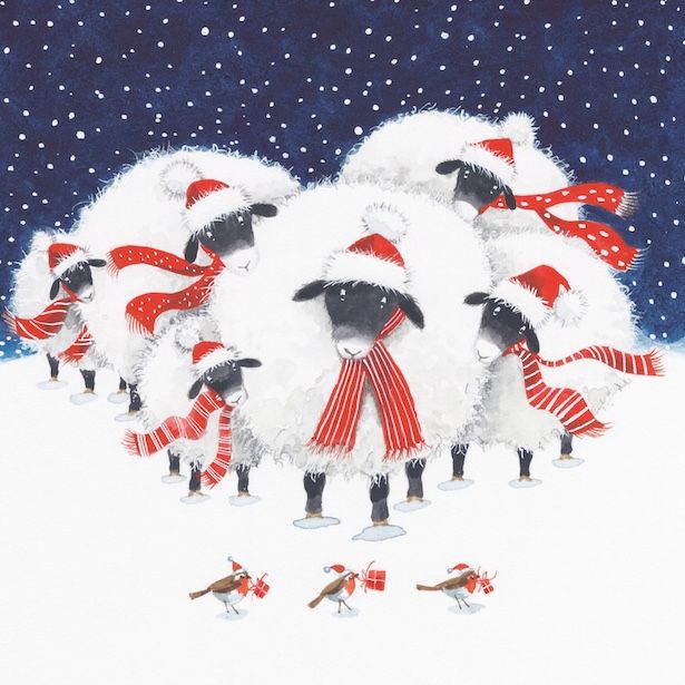 Scarves and Sheep
