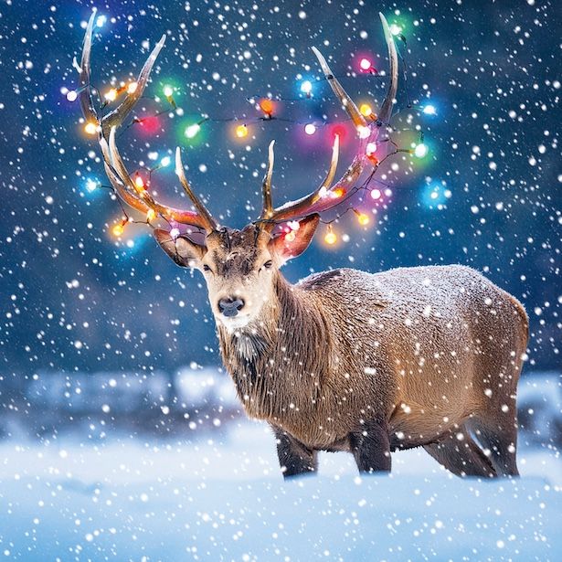 Bauble Reindeer