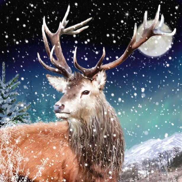 Moonlight Stag