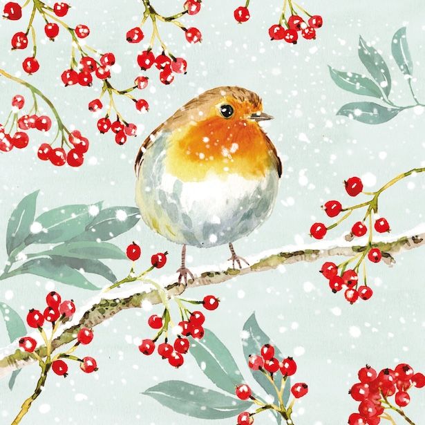Pastel Robin