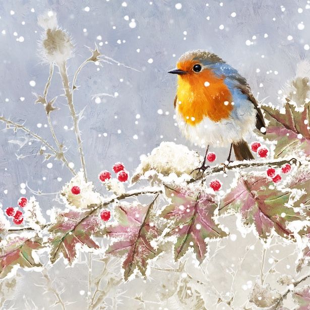 Frosted Robin