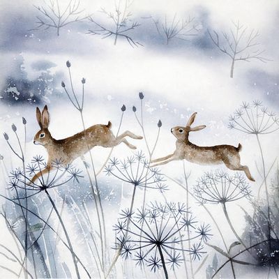 Wildlife at Large