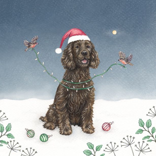 Spaniel and Lights