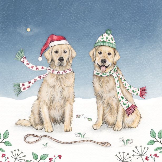 Golden Retrievers