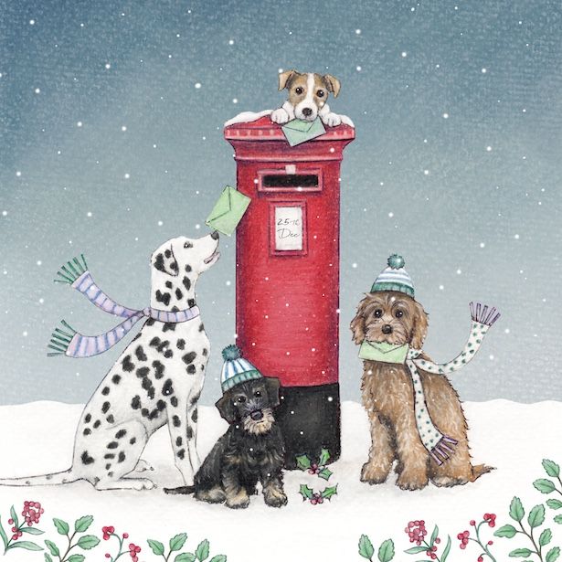 Dogs and Postbox