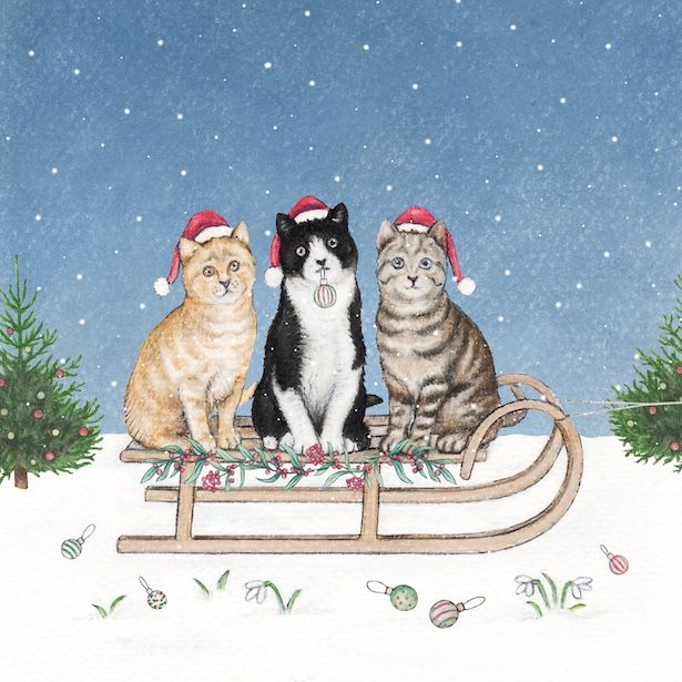 Cats and Sleigh