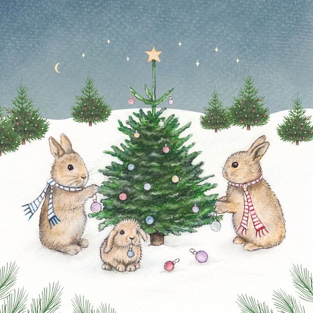 Rabbits