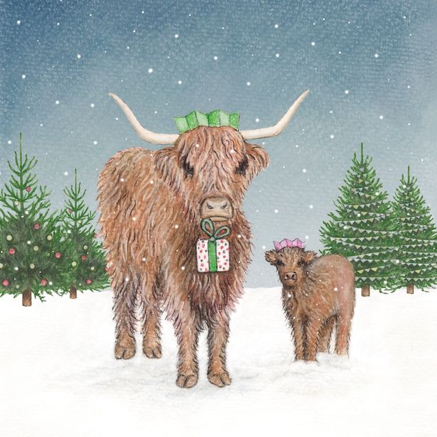 Highland Cows