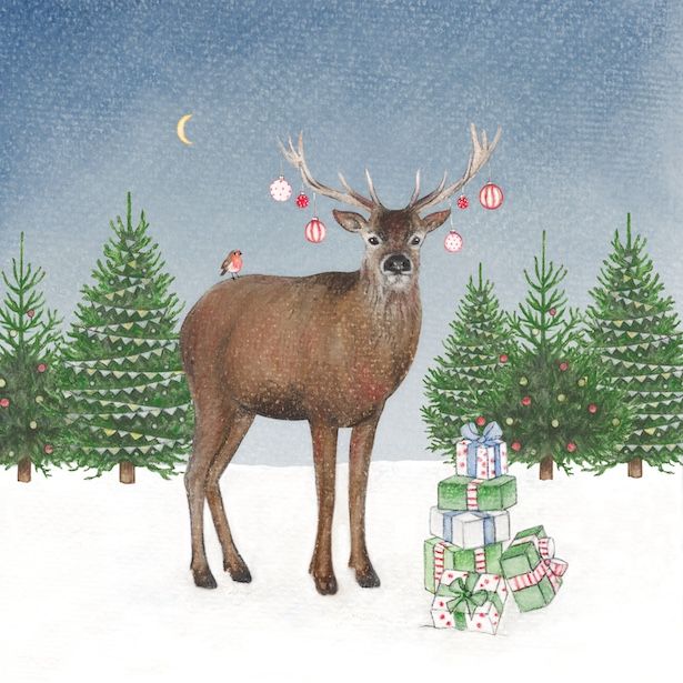 Reindeer Presents
