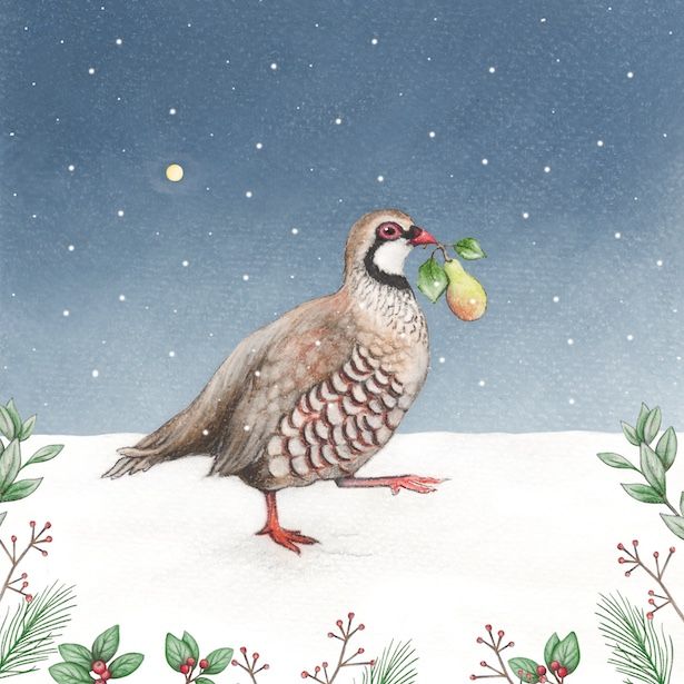Pear Partridge