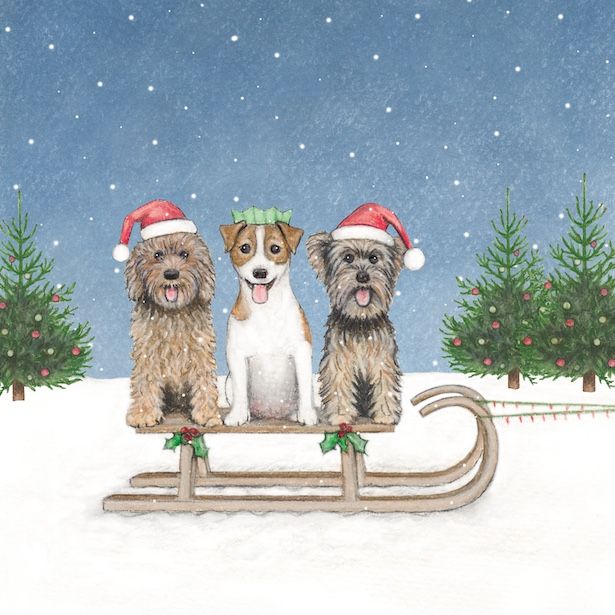Dogs and Sleigh
