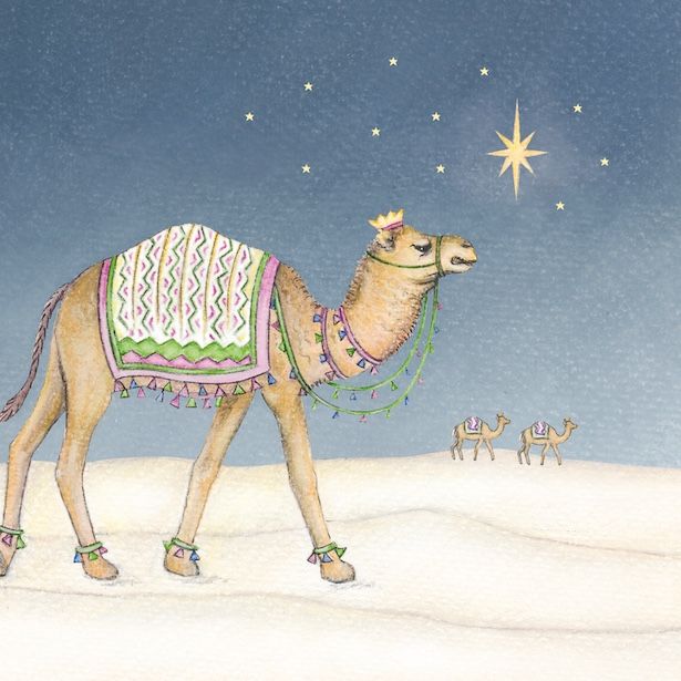 Camel