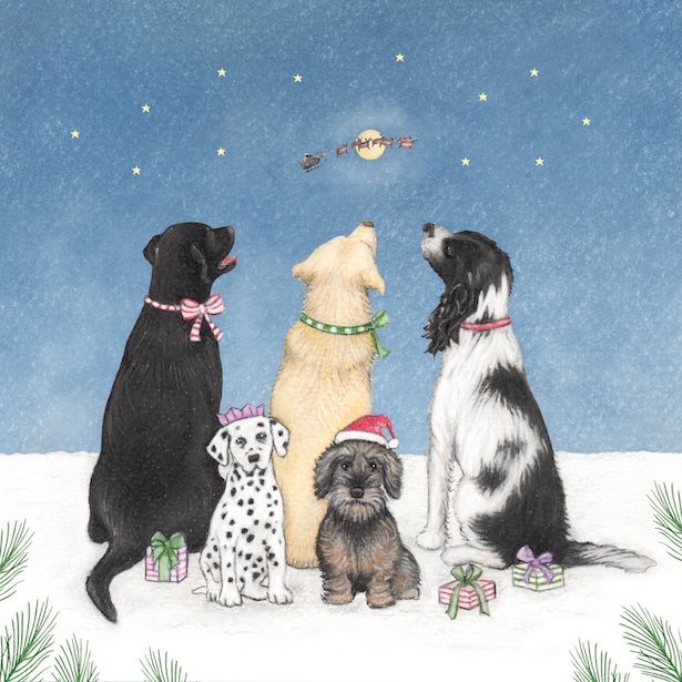 Dogs and Presents