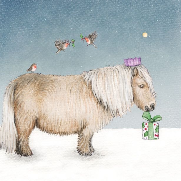 Shetland Pony