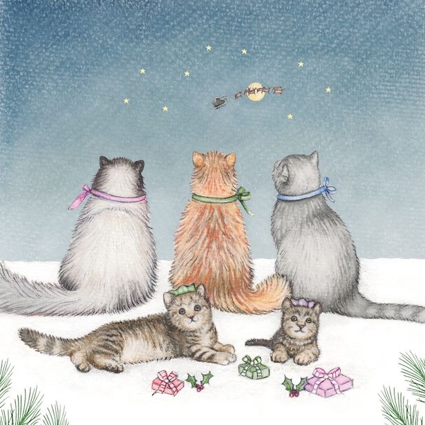 Cats and Presents