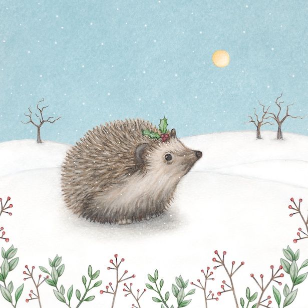 Hedgehog
