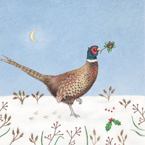 Pheasant