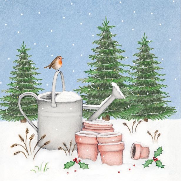 Watering Can Robin