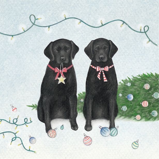 Labradors and Tree
