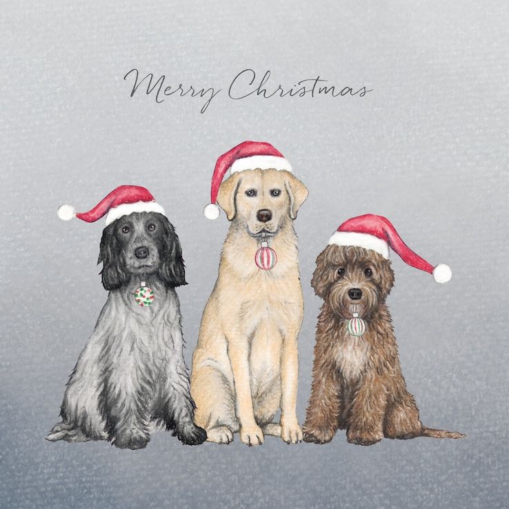 Dogs In Hats