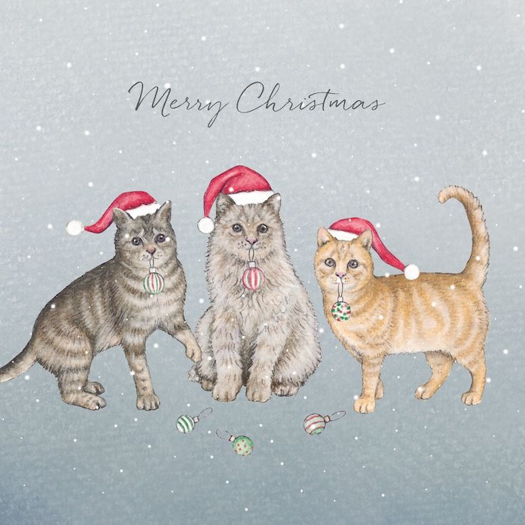 Cats in Hats