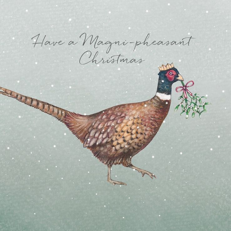 Pheasant and Mistletoe