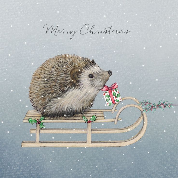 Hedgehog and Sleigh