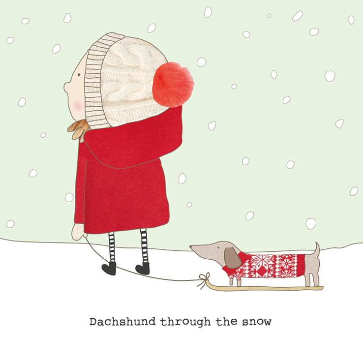 Dachshund