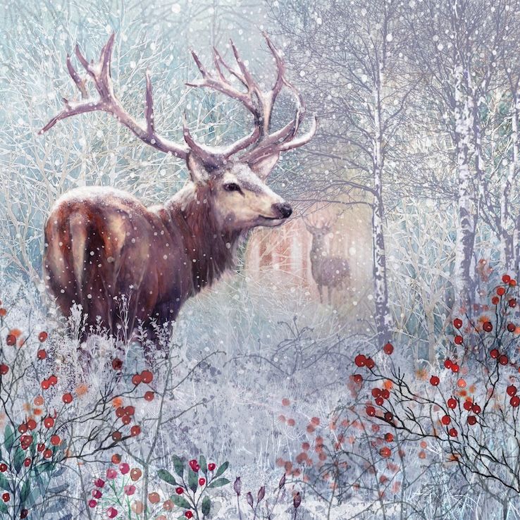 Winter Stag
