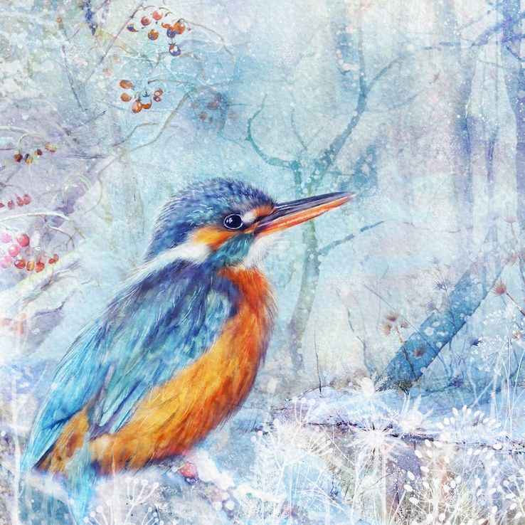 Kingfisher