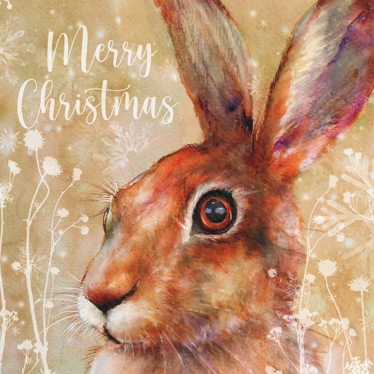 Hare