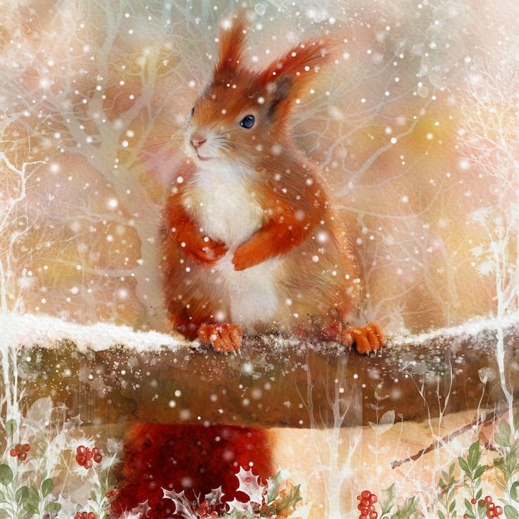 Christmas Squirrel