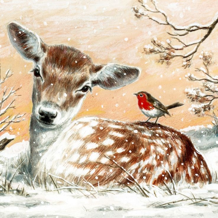 Fawn and Robin