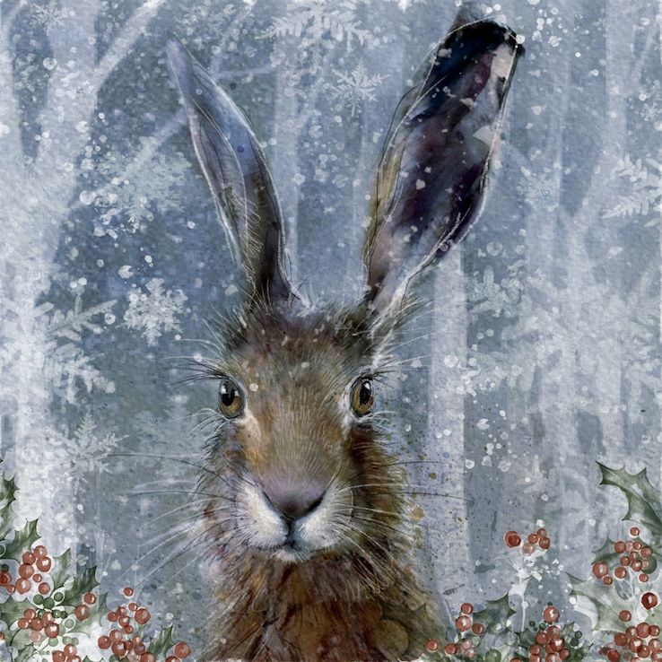 Chilly Hare
