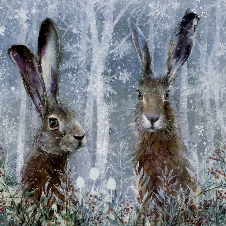 Frosty Hares