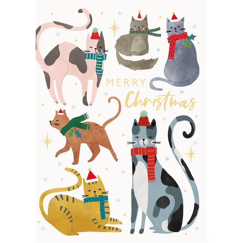 Festive Cats
