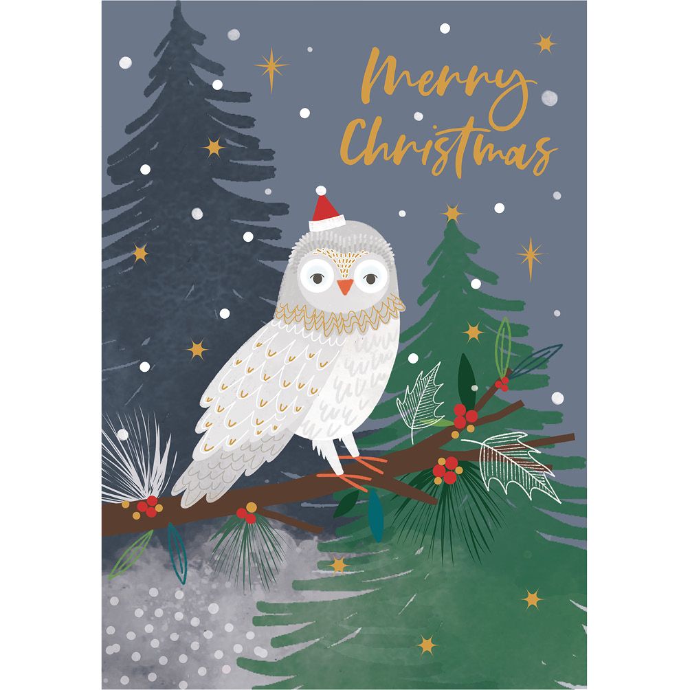 Owl Christmas