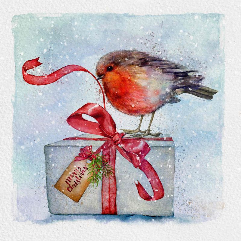 Robin Present