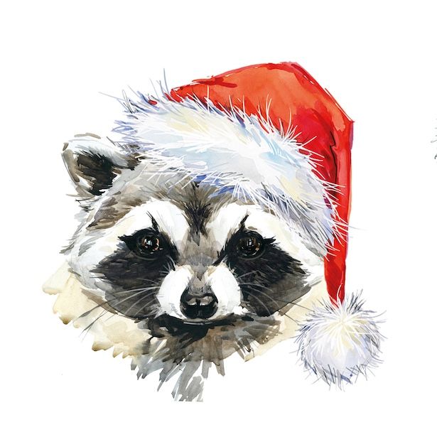 Festive Racoon