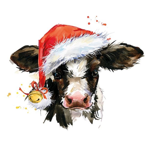 Jingle Calf