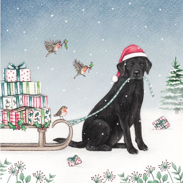 Labrador &amp; Sleigh