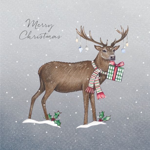 Reindeer Ruminations